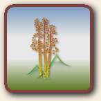 Click to Visit Aspen Lasers Systems