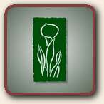 Click to Visit Broadway Apothecary