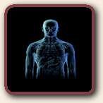 Click to Visit Diagnostic Instruments, Inc.