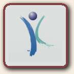 Click to Visit King Pharmaceuticals, Inc.