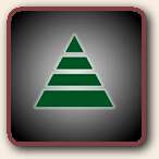 Click to Visit Pine Tree Orthopedic Lab