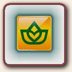 Click to Visit Spenco Medical Corporation